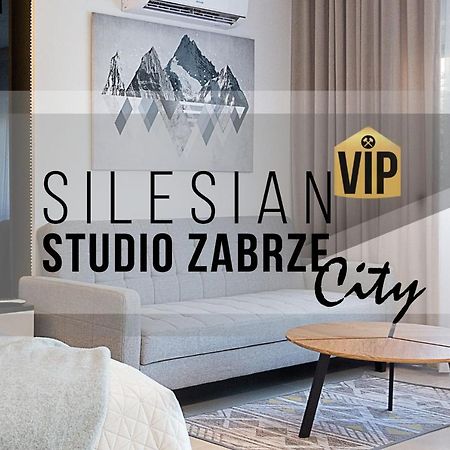 Studio Silesian Vip City Centrum Free Parking Забже Экстерьер фото